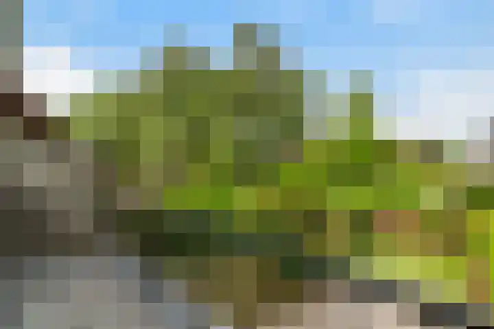 Händelhof 12 Alphen aan den Rijn thumbnail 27