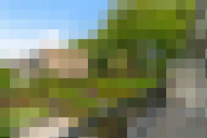 Händelhof 12 Alphen aan den Rijn thumbnail 28