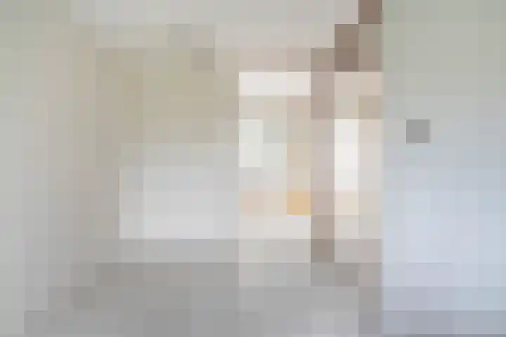 Händelhof 12 Alphen aan den Rijn thumbnail 29