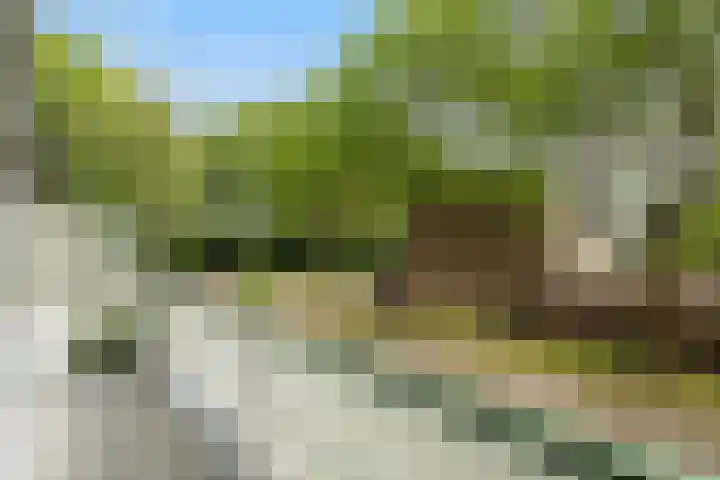 Händelhof 12 Alphen aan den Rijn thumbnail 32