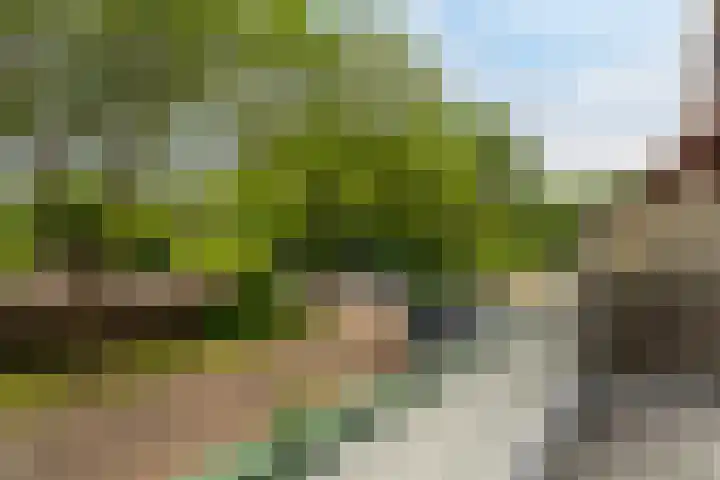 Händelhof 12 Alphen aan den Rijn thumbnail 33