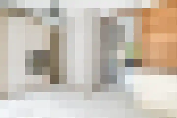 Händelhof 12 Alphen aan den Rijn thumbnail 37