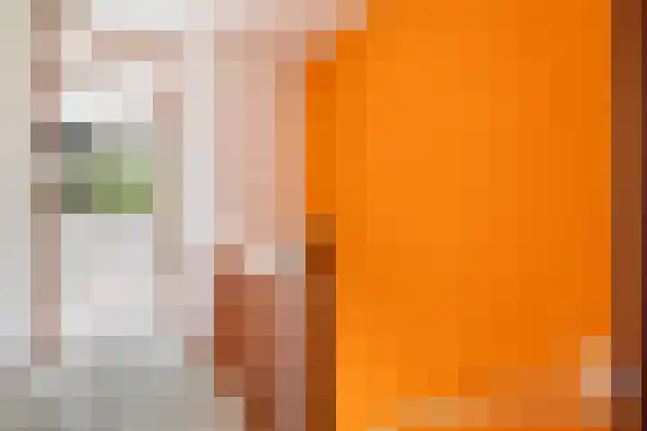 Händelhof 12 Alphen aan den Rijn thumbnail 38