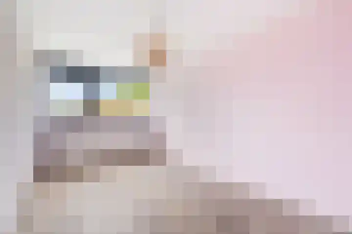 Händelhof 12 Alphen aan den Rijn thumbnail 44