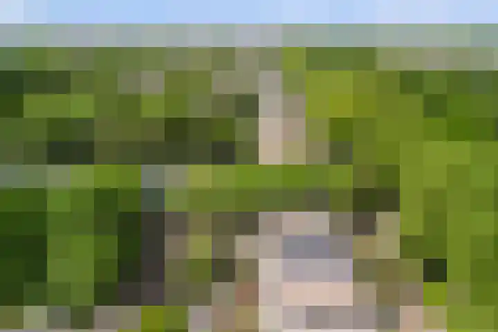 Händelhof 12 Alphen aan den Rijn thumbnail 49
