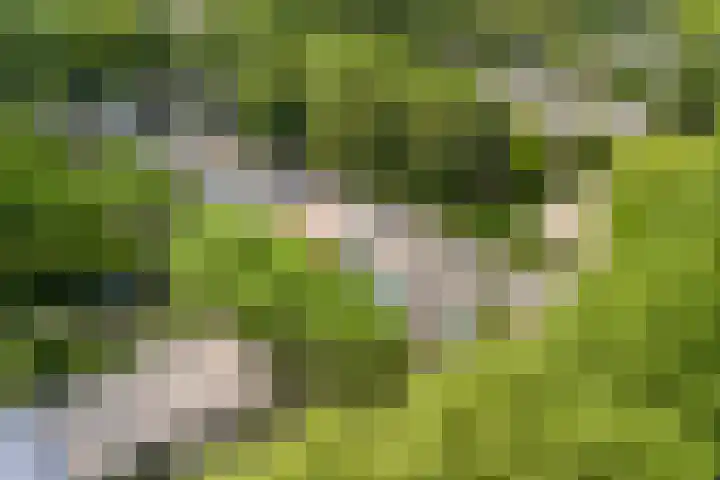 Händelhof 12 Alphen aan den Rijn thumbnail 50