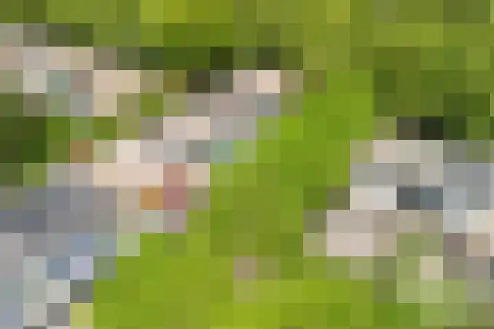 Händelhof 12 Alphen aan den Rijn thumbnail 51