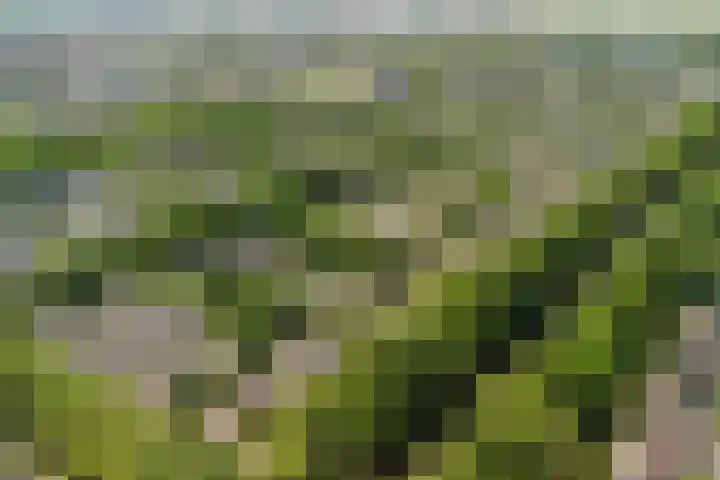 Händelhof 12 Alphen aan den Rijn thumbnail 53