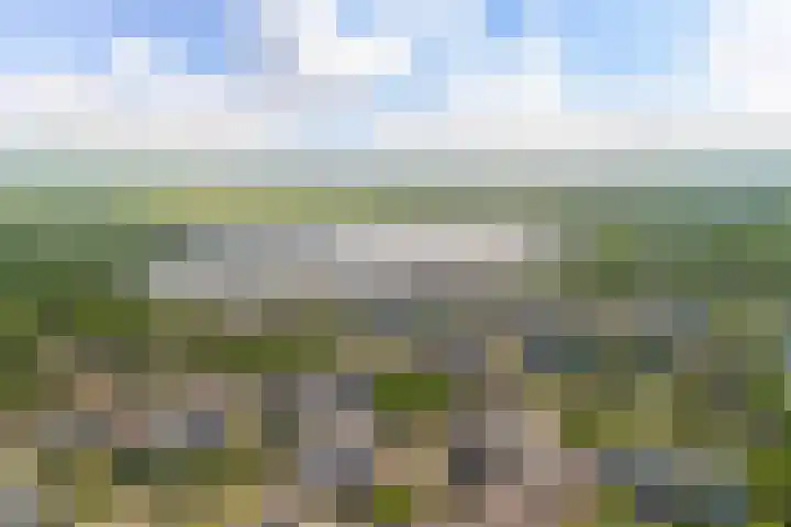 Händelhof 12 Alphen aan den Rijn thumbnail 54