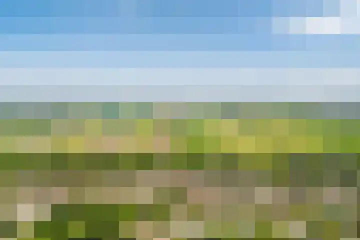 Händelhof 12 Alphen aan den Rijn thumbnail 55