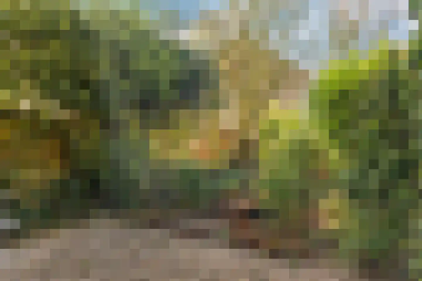 Händelhof 3 Alphen aan den Rijn thumbnail 12
