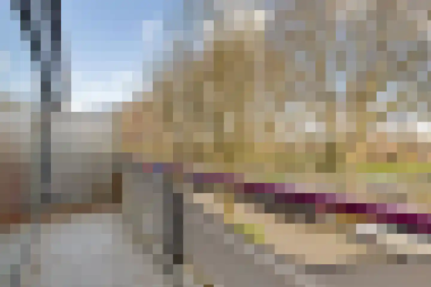 Händelhof 3 Alphen aan den Rijn thumbnail 26