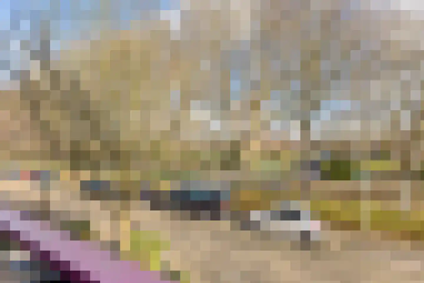 Händelhof 3 Alphen aan den Rijn thumbnail 27