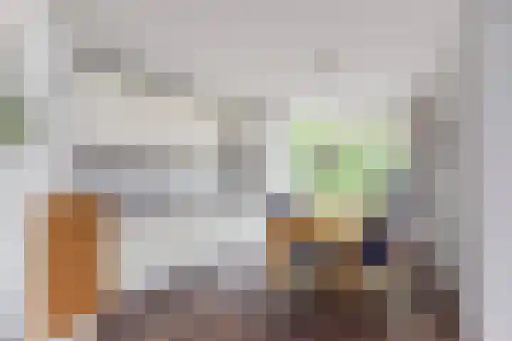 Händelhof 43 Alphen aan den Rijn thumbnail 11