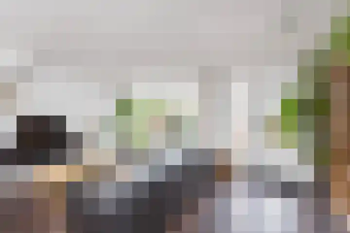 Händelhof 43 Alphen aan den Rijn thumbnail 13