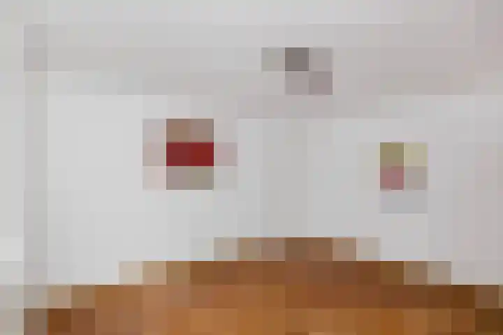 Händelhof 43 Alphen aan den Rijn thumbnail 20