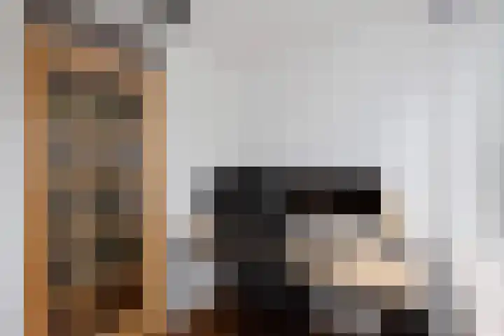 Händelhof 43 Alphen aan den Rijn thumbnail 22