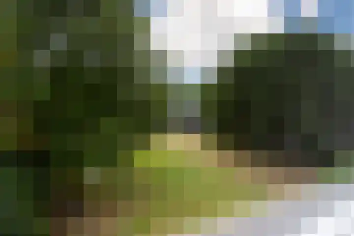 Händelhof 43 Alphen aan den Rijn thumbnail 30