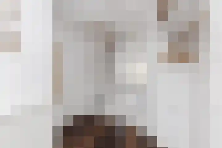 Händelhof 43 Alphen aan den Rijn thumbnail 5