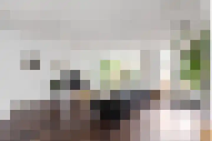 Händelhof 43 Alphen aan den Rijn thumbnail 7