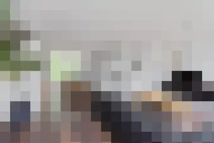 Händelhof 43 Alphen aan den Rijn thumbnail 8