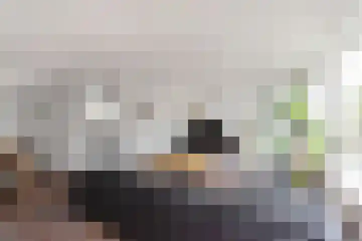 Händelhof 43 Alphen aan den Rijn thumbnail 9