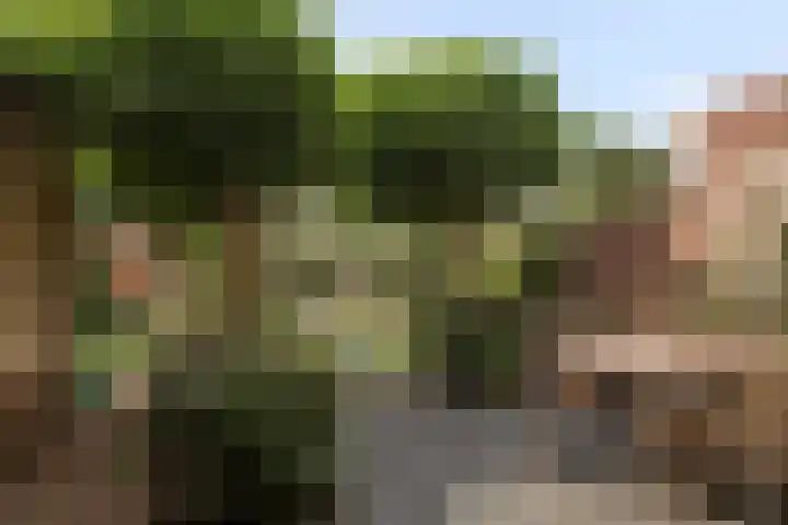 Händellaan 10 Veenendaal thumbnail 21