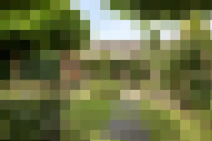 Händellaan 10 Veenendaal thumbnail 22