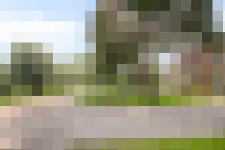 Händellaan 10 Veenendaal thumbnail 26