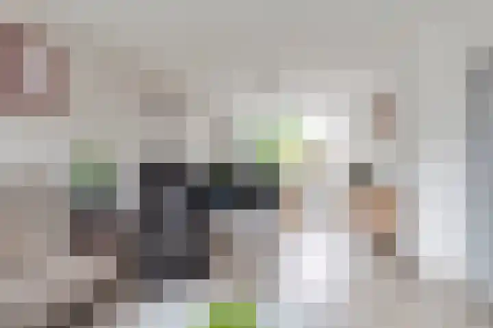 Händellaan 11 Culemborg thumbnail 12
