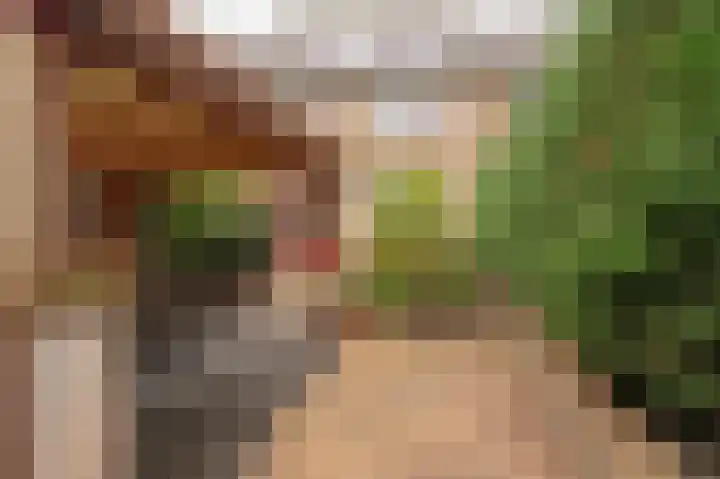 Händellaan 11 Culemborg thumbnail 14