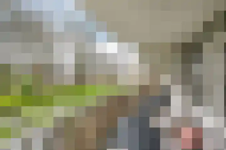 Händellaan 11 Culemborg thumbnail 30