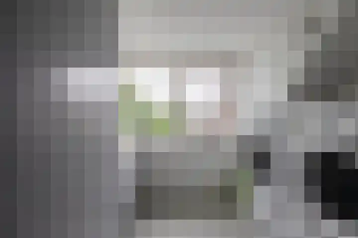 Händellaan 11 Culemborg thumbnail 31