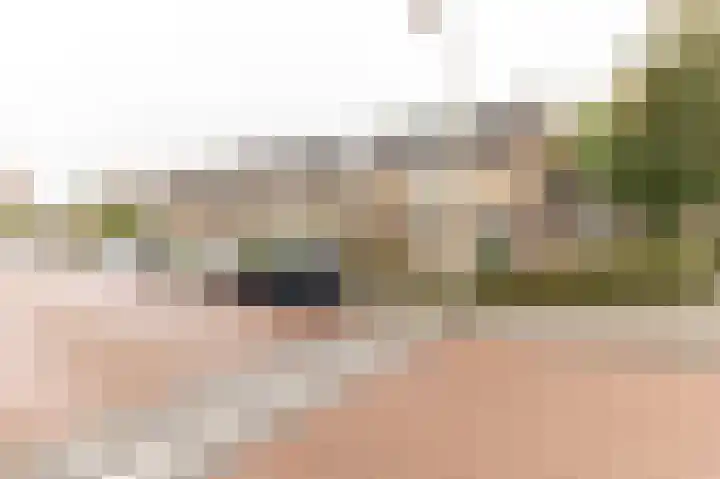 Händellaan 11 Culemborg thumbnail 38