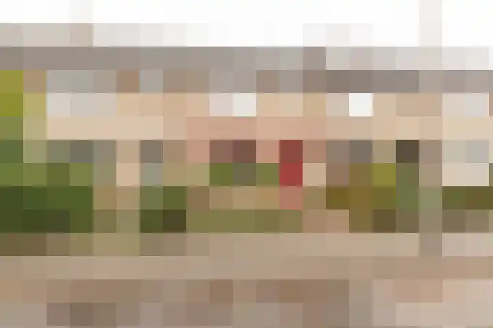 Händellaan 11 Culemborg thumbnail 5