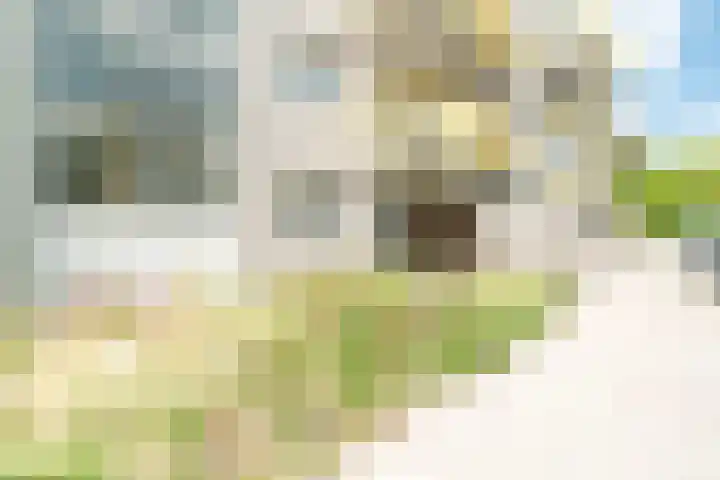 Händellaan 11 Culemborg thumbnail 6