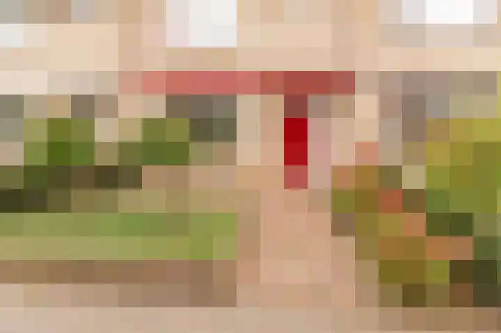 Händellaan 11 Culemborg thumbnail 6