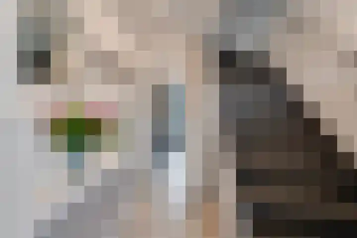Händellaan 11 Culemborg thumbnail 7