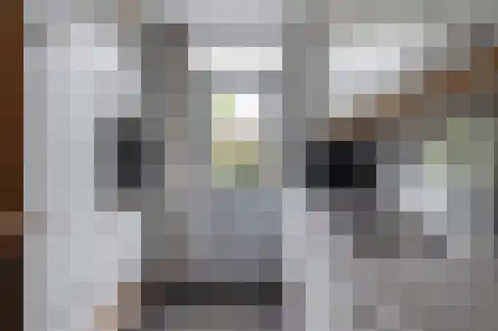 Händellaan 11 Culemborg thumbnail 8