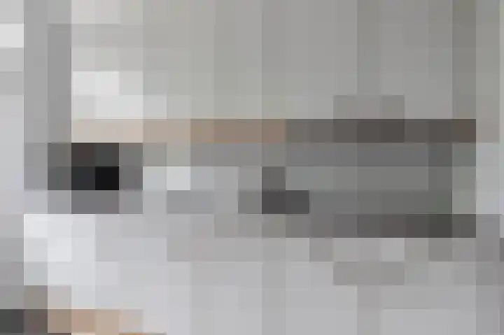 Händellaan 11 Culemborg thumbnail 9