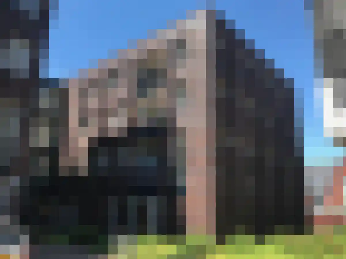 Händellaan 112 Heemstede thumbnail 5
