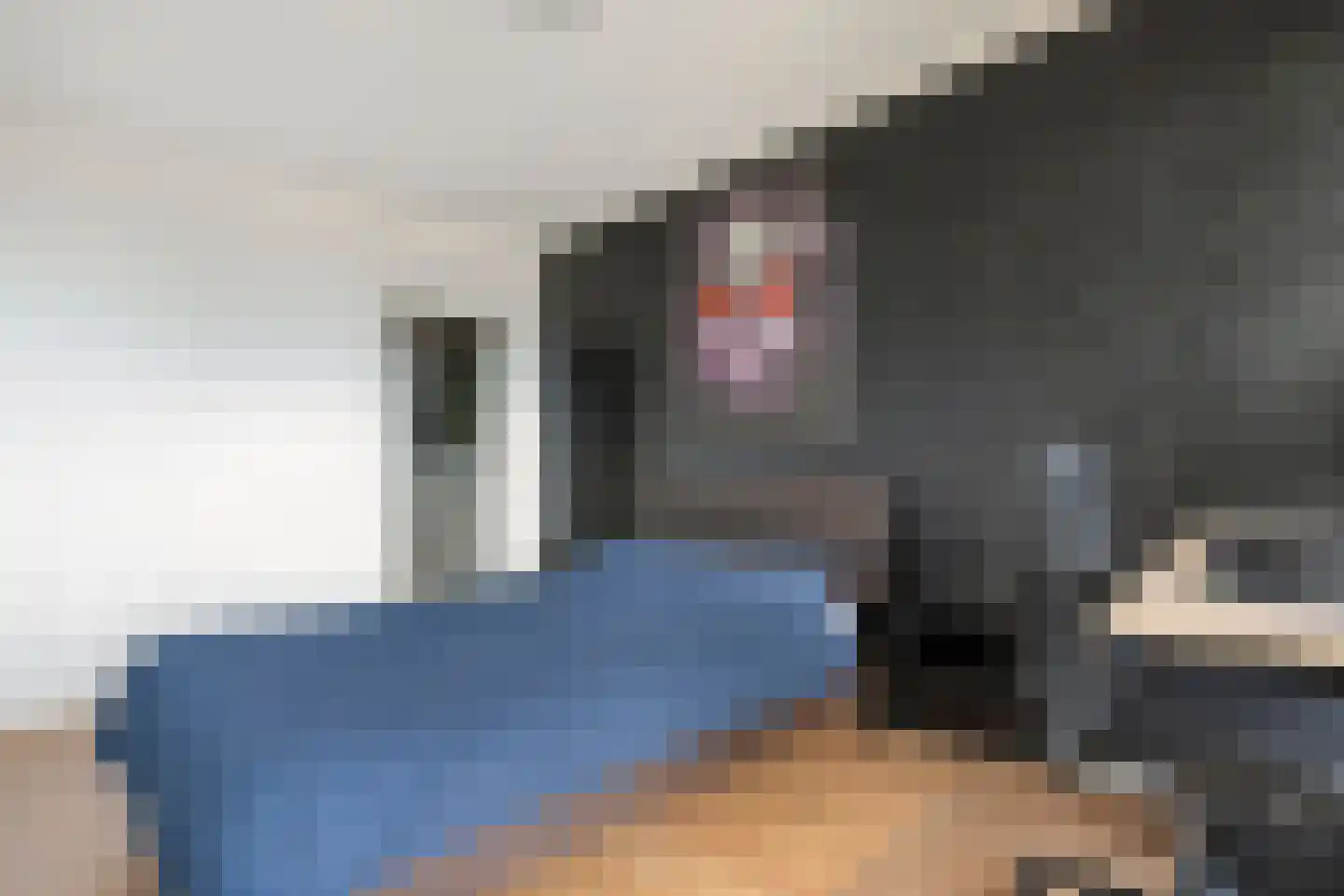 Händellaan 115 Zwolle thumbnail 13
