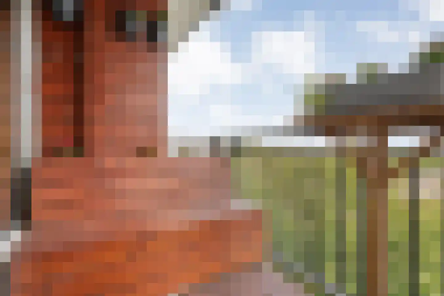 Händellaan 115 Zwolle thumbnail 17