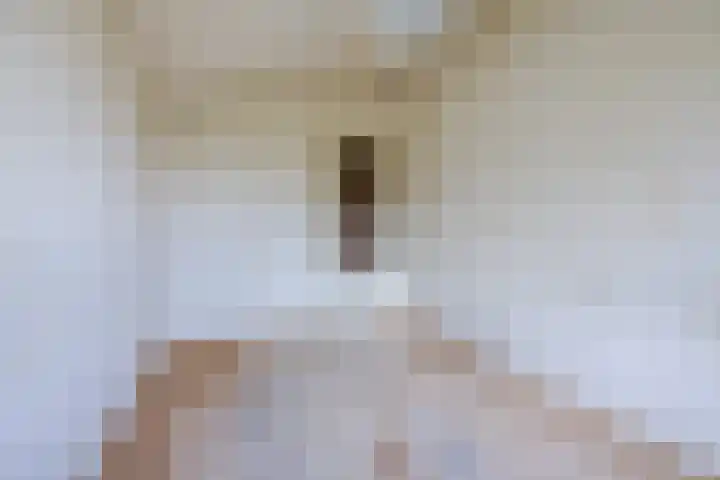 Händellaan 14 Voorschoten thumbnail 22