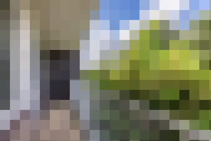 Händellaan 14 Voorschoten thumbnail 25