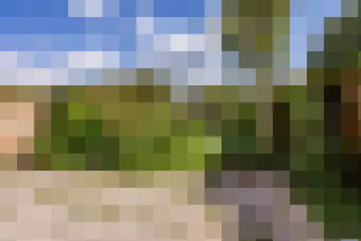Händellaan 14 Voorschoten thumbnail 26