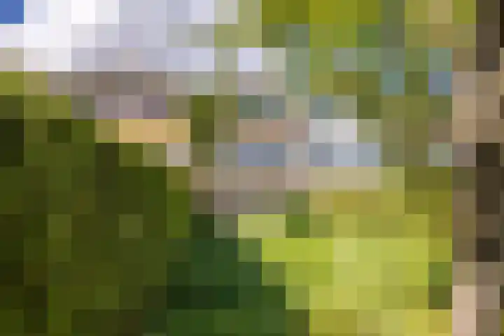 Händellaan 14 Voorschoten thumbnail 30