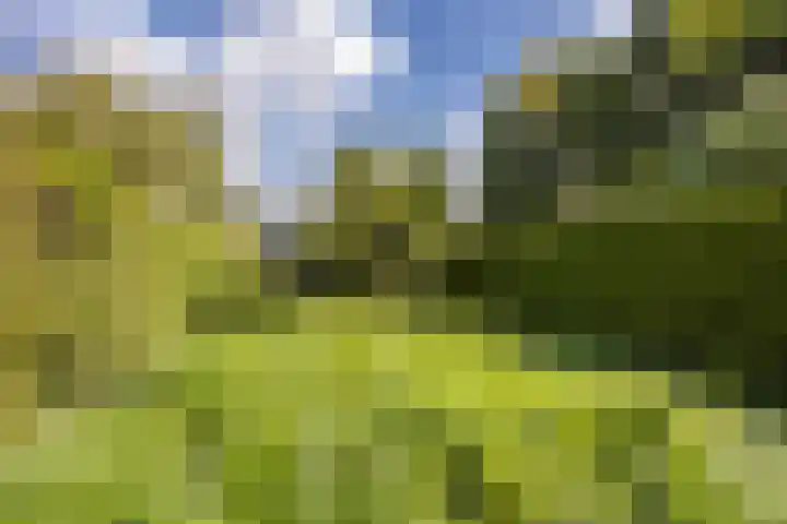 Händellaan 14 Voorschoten thumbnail 31