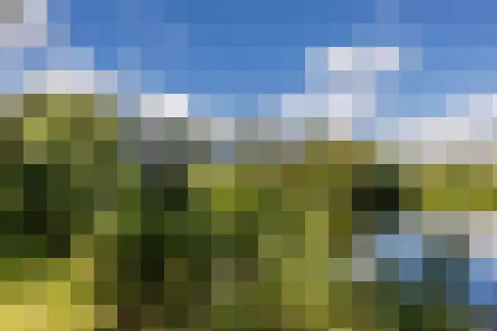 Händellaan 14 Voorschoten thumbnail 33