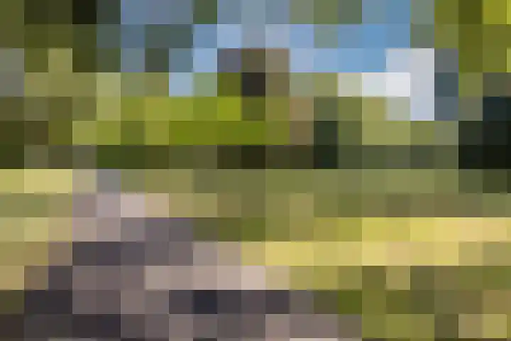 Händellaan 14 Voorschoten thumbnail 34